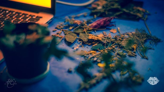 Dried leaves on a table near a laptop, all under moody lighting